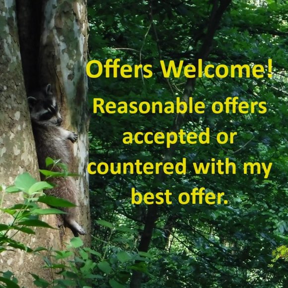 LRL Crushed Cotton Sleeveless Camp Shirt Swim Cover-Up XL - Picture 12 of 13